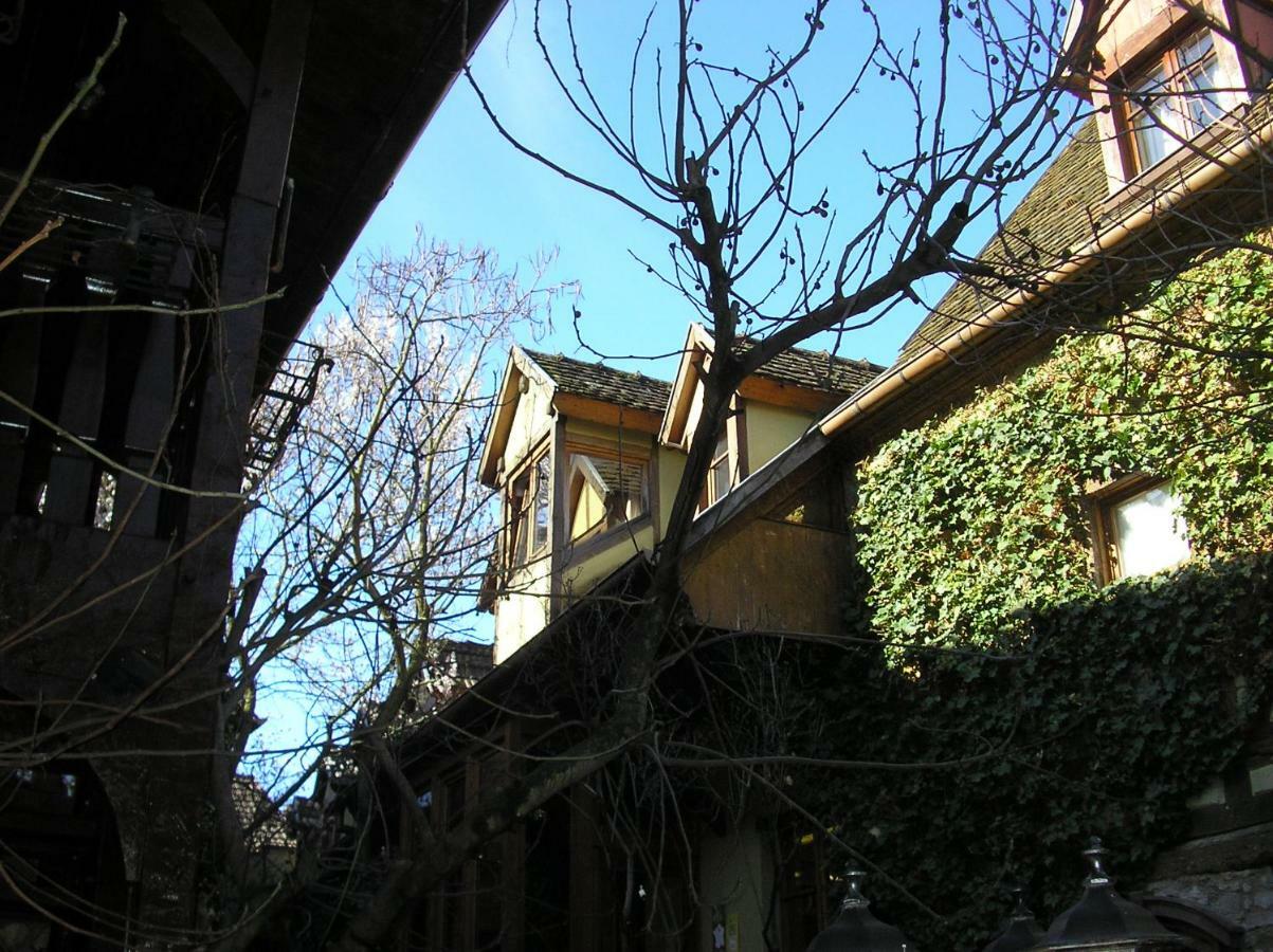 Gite Le Riesling Bergheim Exterior foto